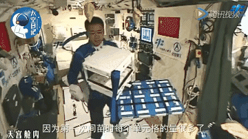 打卡“植”得期待的“太空菜园”