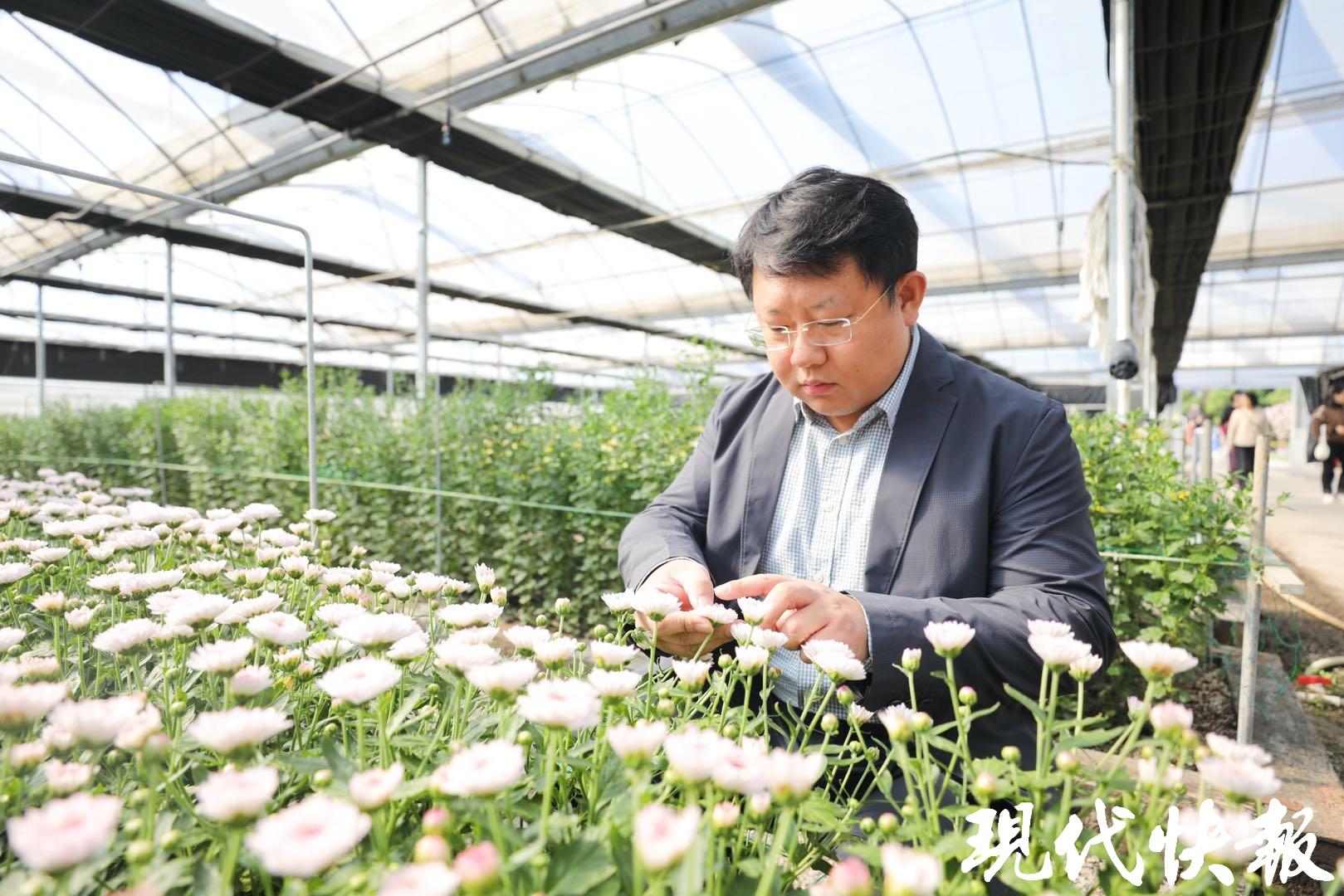 南京农业大学园艺学院副院长王海滨教授
