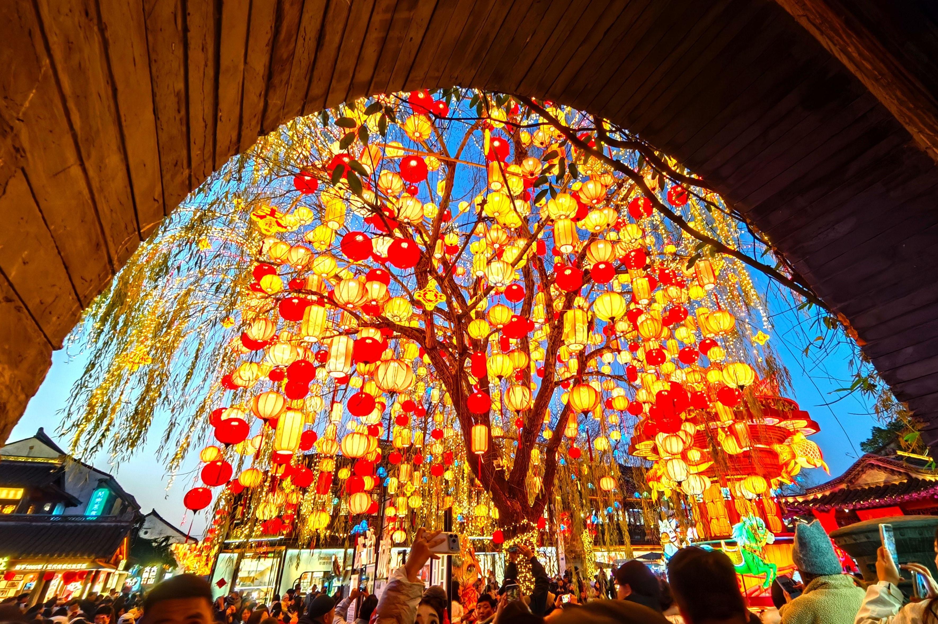“东风夜放花千树”具象化了，一眼千年的浪漫正在南京上演
