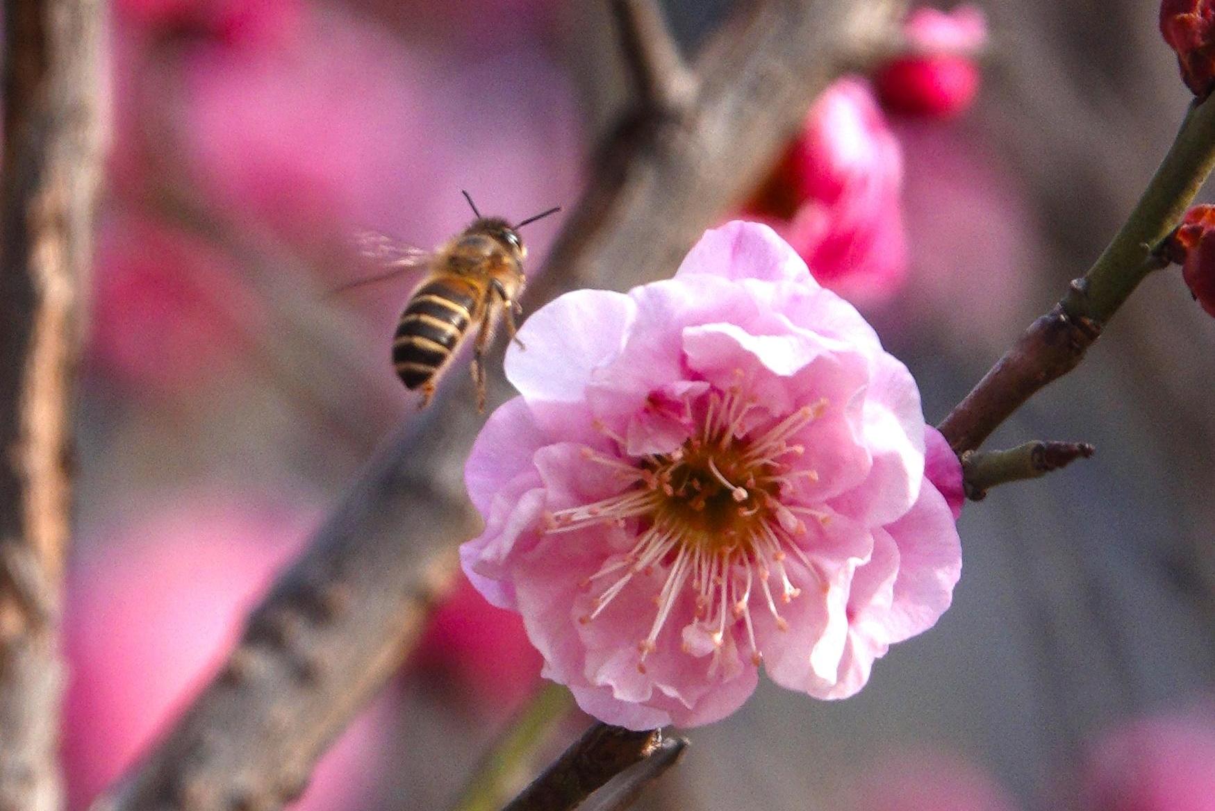 今日立春，万象更新