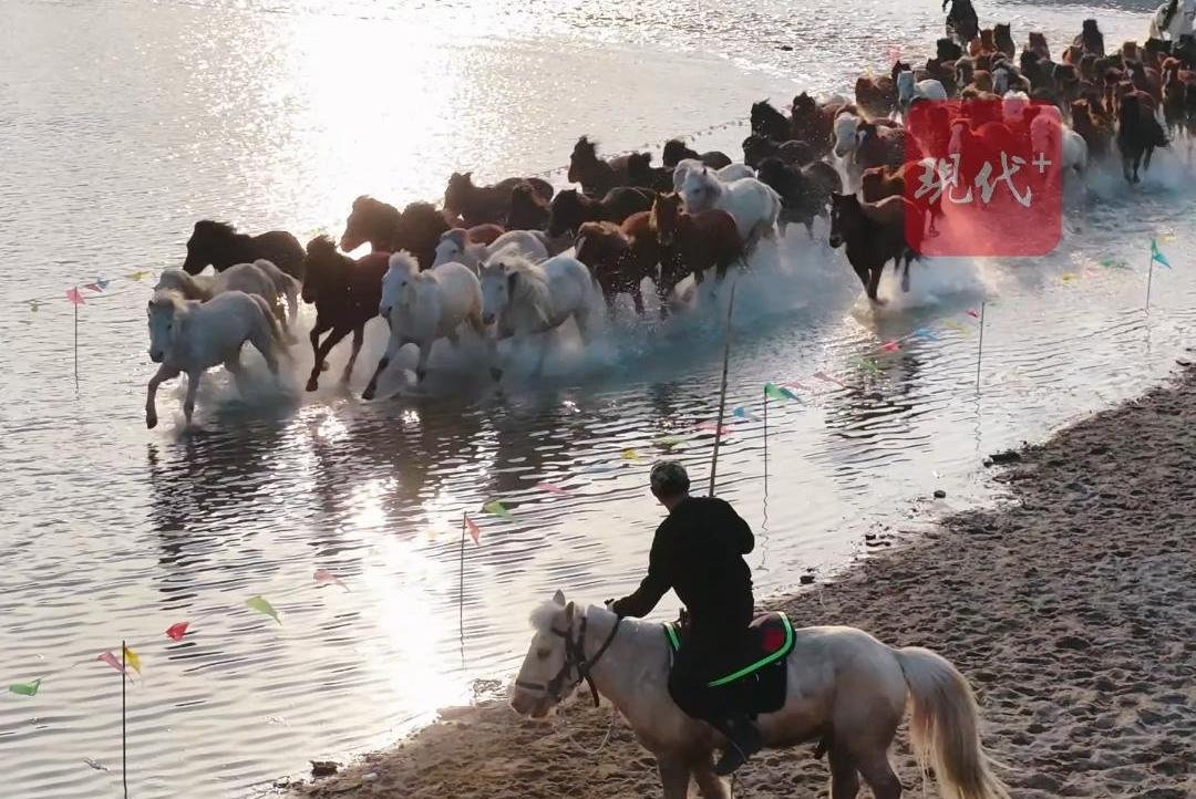 马年春节将至，南通上演“天马浴河”壮观奇景