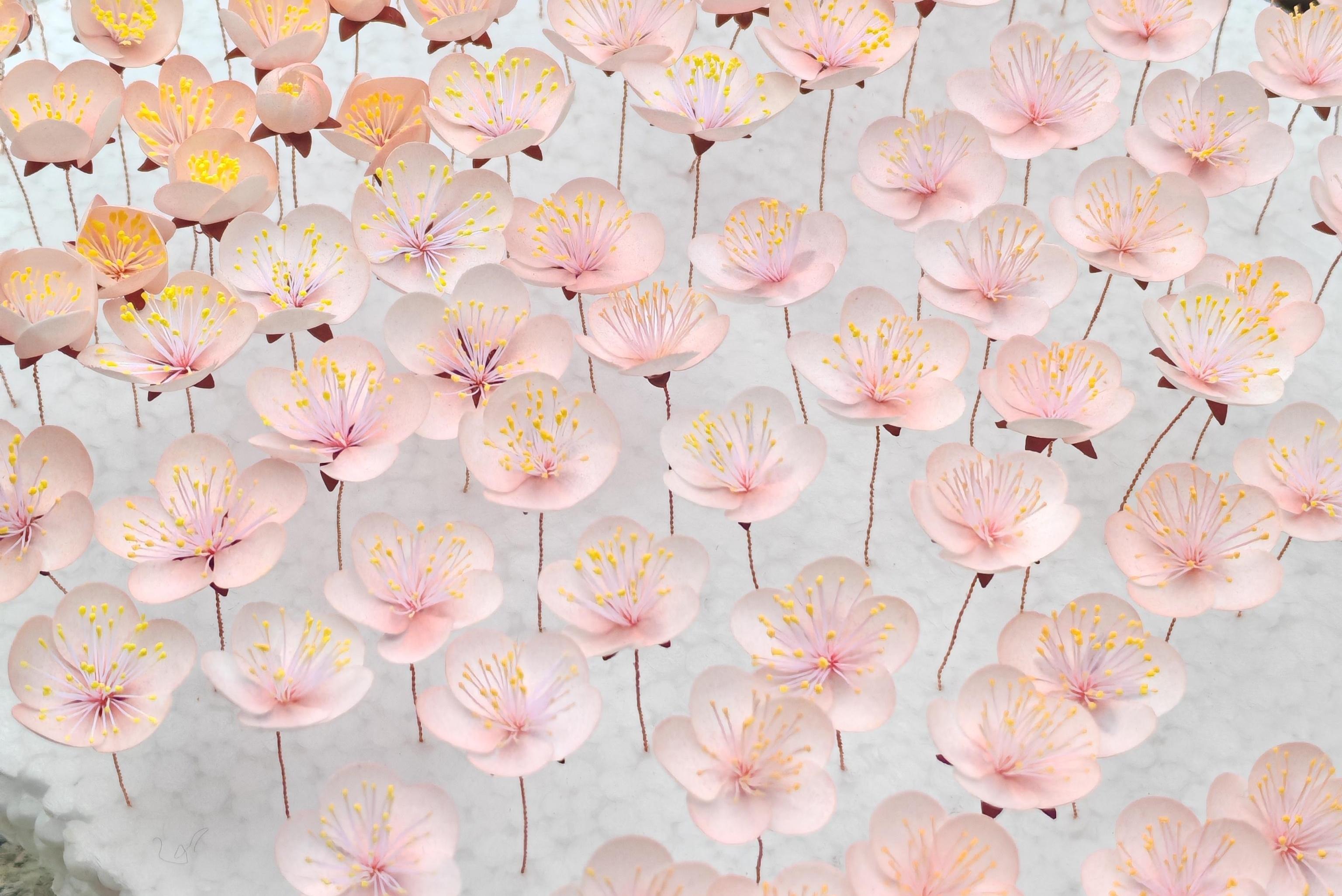 春晚十二花神的花，出自这个90后之手